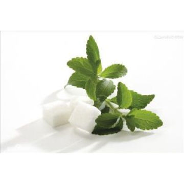 Additifs alimentaires Stevia Leaf PE